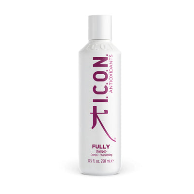 Fully ICON